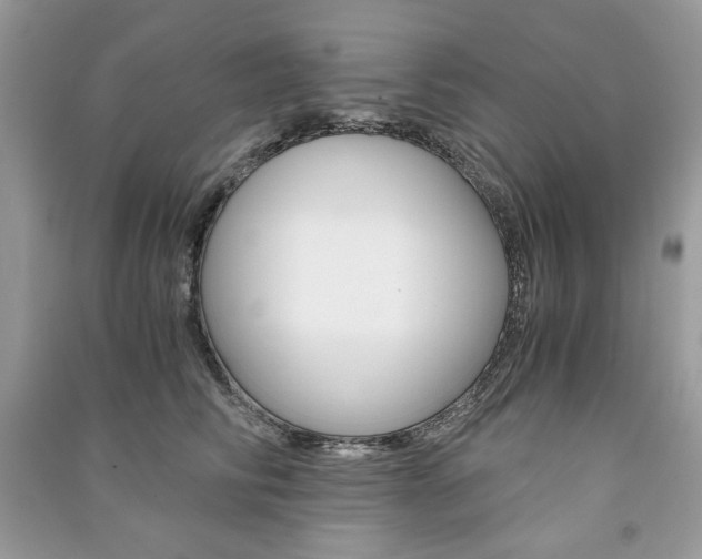 X0000091180710200708091046