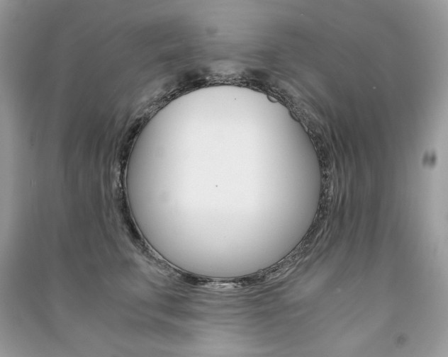 X0000091180711200708091046