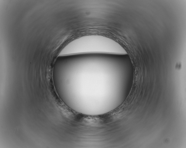 X0000091180712200708091046
