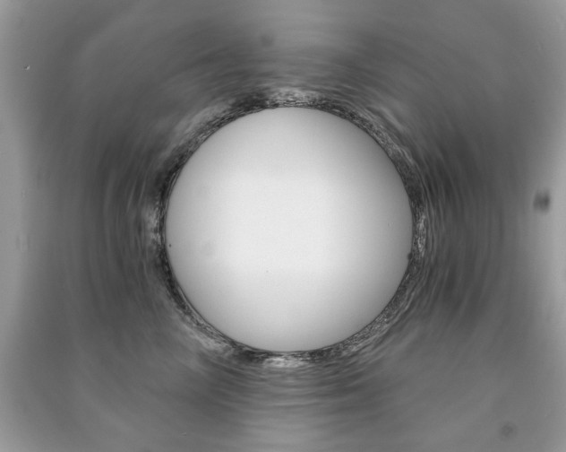 X0000091180714200708091046
