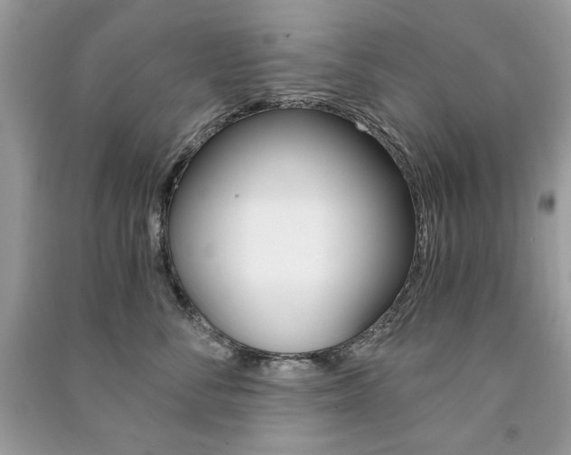 X0000091180716200708091046