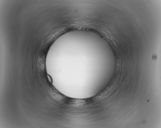 X0000091180719200708091046