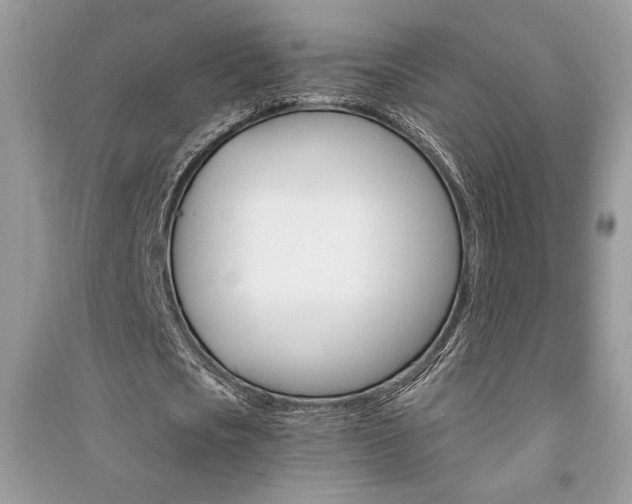 X0000091180721200708091045