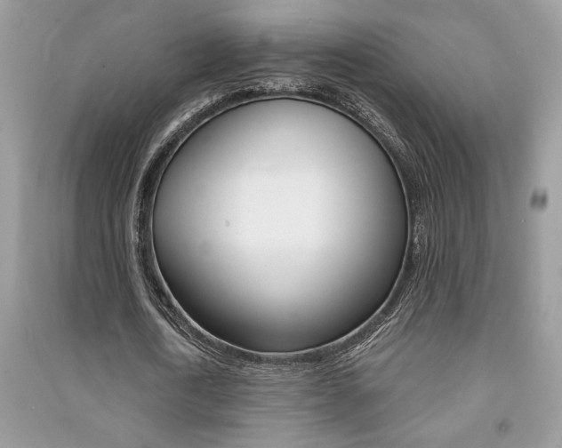X0000091180722200708091045