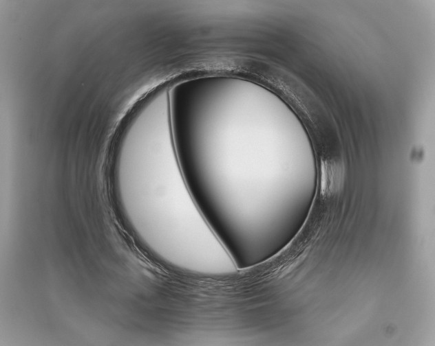 X0000091180723200708091045