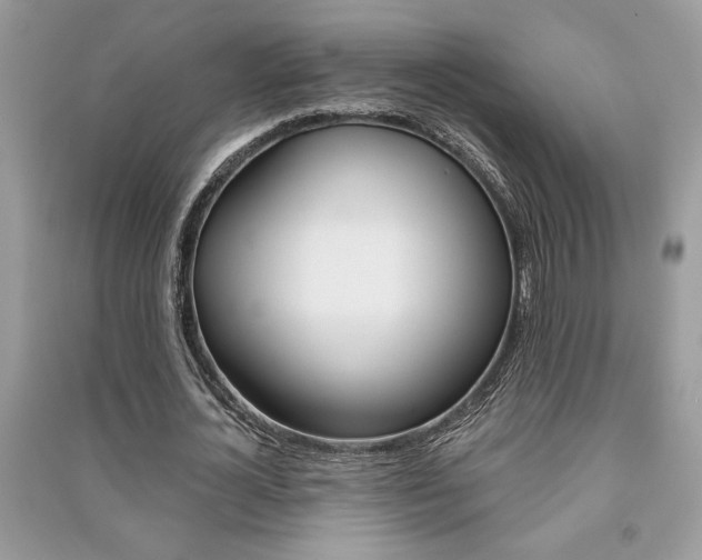 X0000091180724200708091045