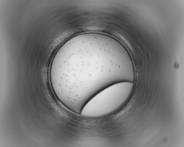 X0000091180725200708091045