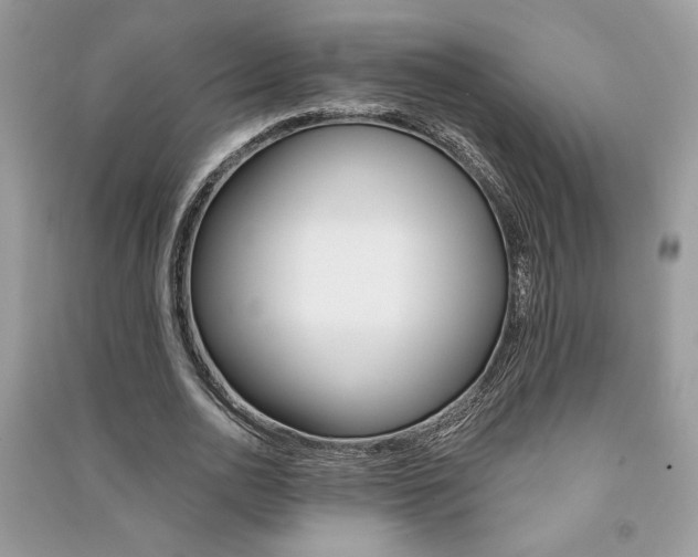 X0000091180726200708091045