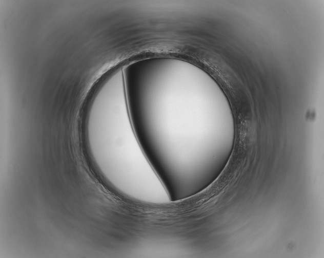 X0000091180727200708091045