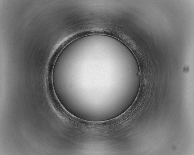 X0000091180728200708091045