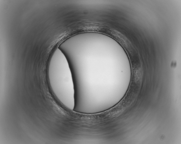 X0000091180729200708091045