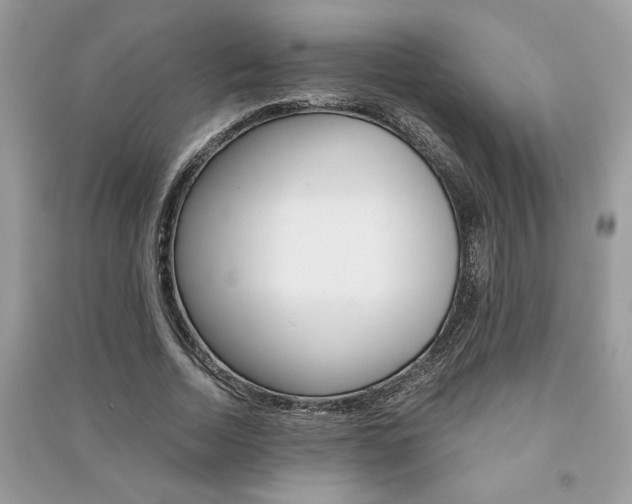 X0000091180730200708091045