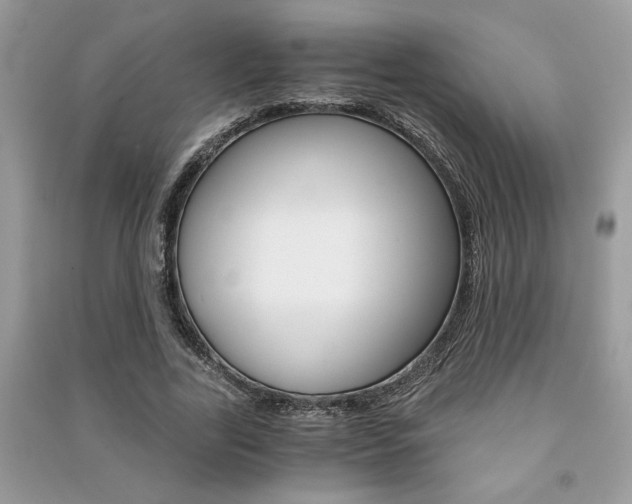 X0000091180731200708091045