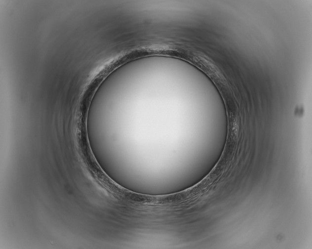 X0000091180732200708091045