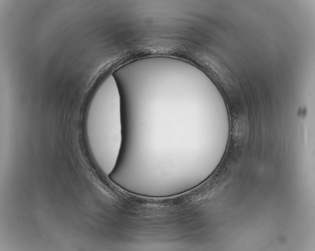 X0000091180733200708091045