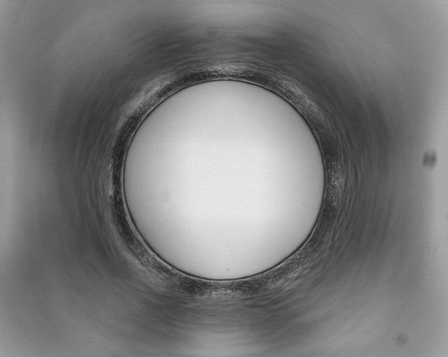 X0000091180734200708091045