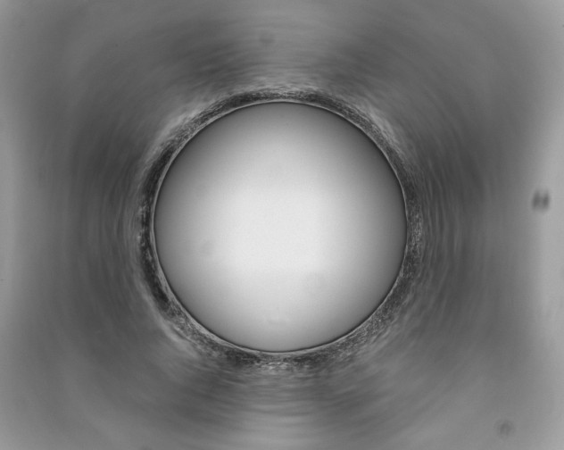 X0000091180736200708091045