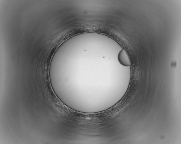 X0000091180737200708091045