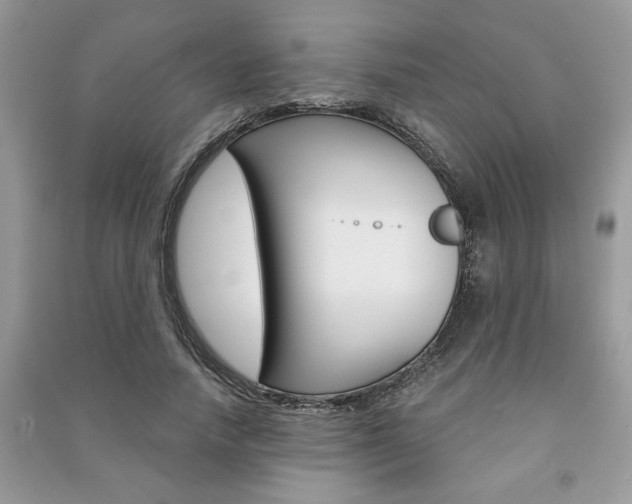 X0000091180738200708091045