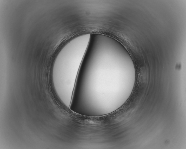 X0000091180739200708091045