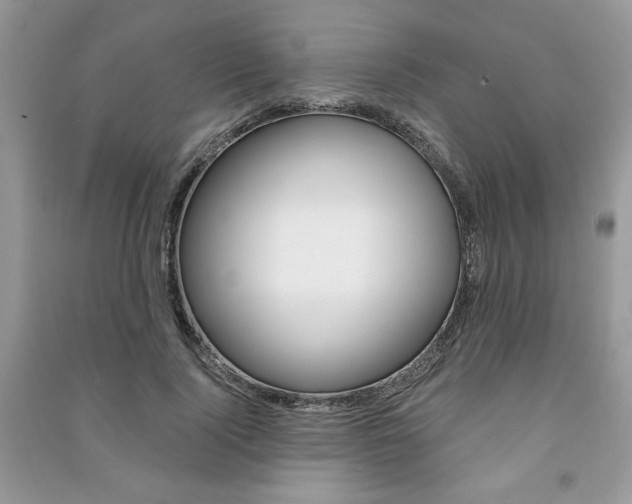 X0000091180740200708091045