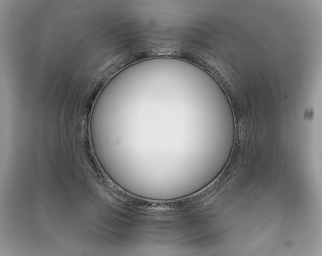 X0000091180741200708091045