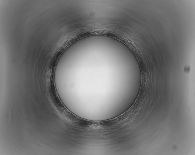 X0000091180742200708091046