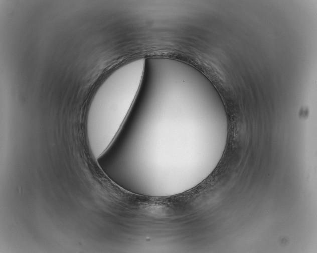 X0000091180743200708091046