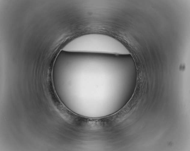 X0000091180744200708091046