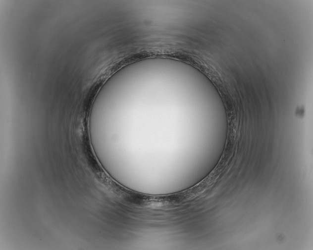 X0000091180746200708091046