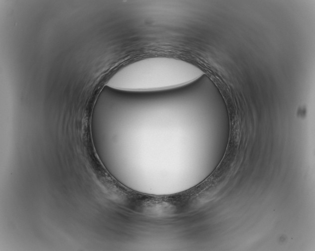 X0000091180747200708091046