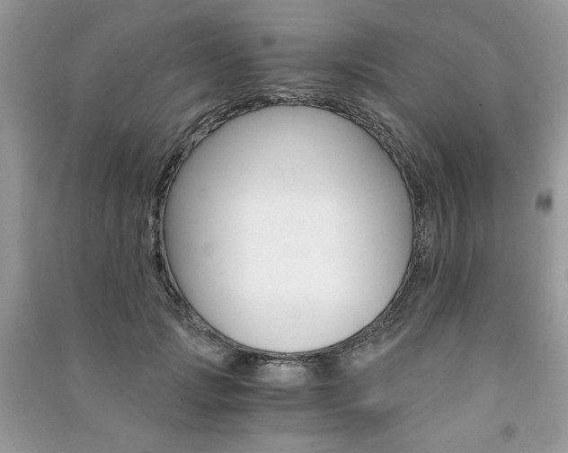 X0000091180749200708091046