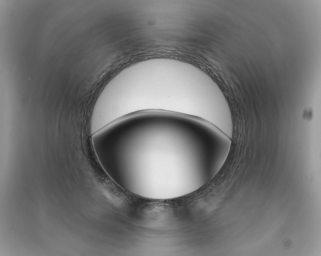 X0000091180750200708091046