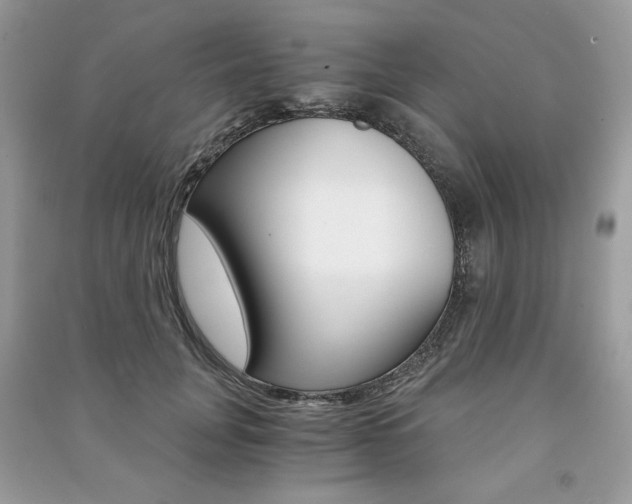 X0000091180751200708091046