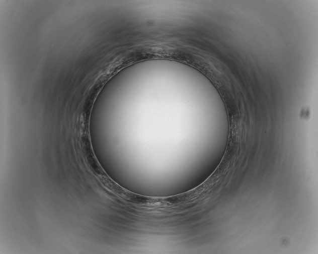 X0000091180752200708091046