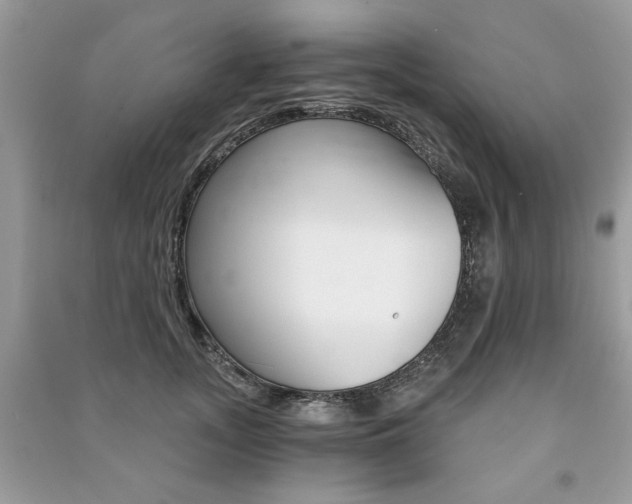 X0000091180755200708091046