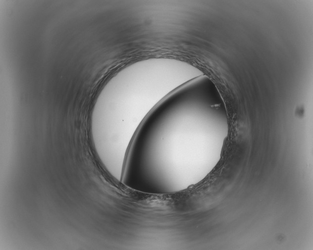X0000091180756200708091046