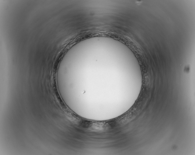 X0000091180757200708091046