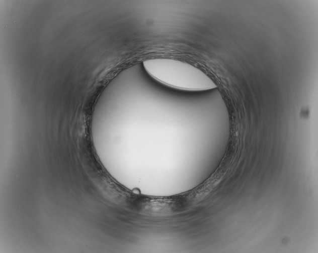 X0000091180758200708091046