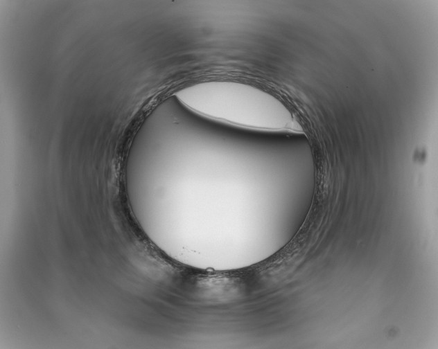 X0000091180759200708091046