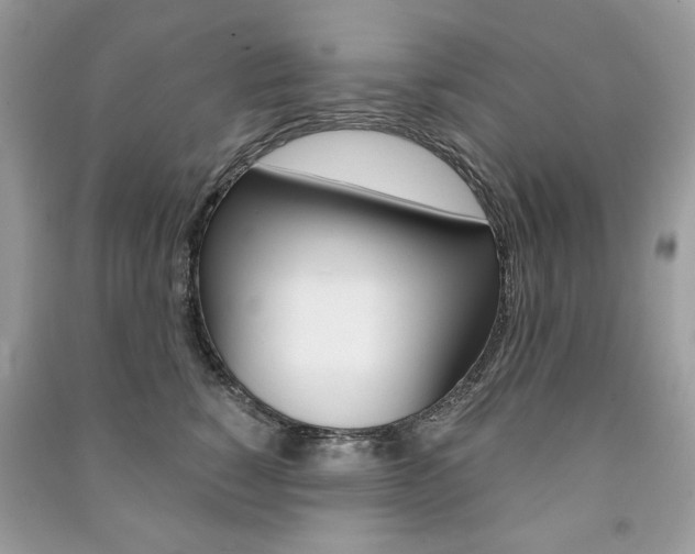 X0000091180760200708091046