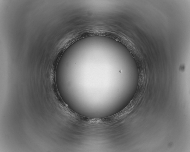 X0000091180762200708091046