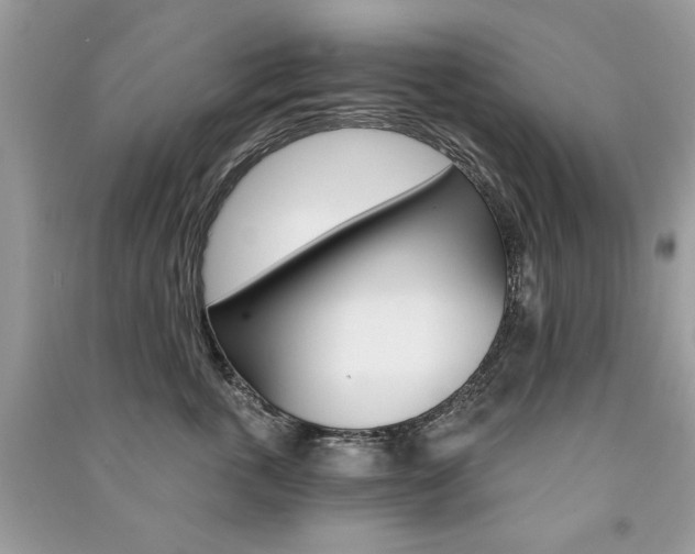 X0000091180763200708091046