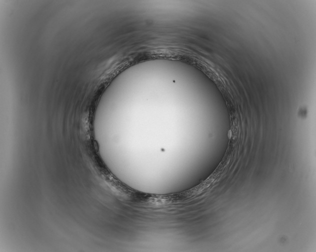 X0000091180764200708091046