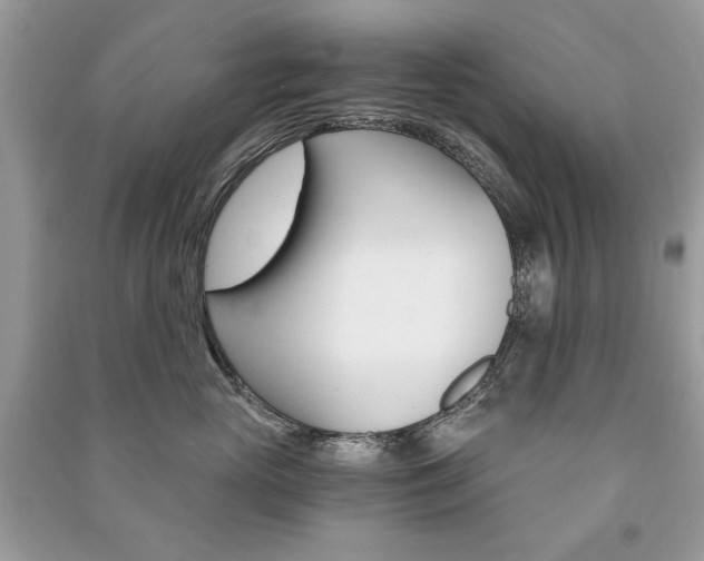 X0000091180765200708091046