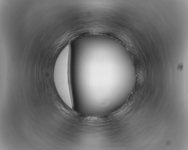 X0000091180766200708091046