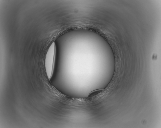 X0000091180768200708091046