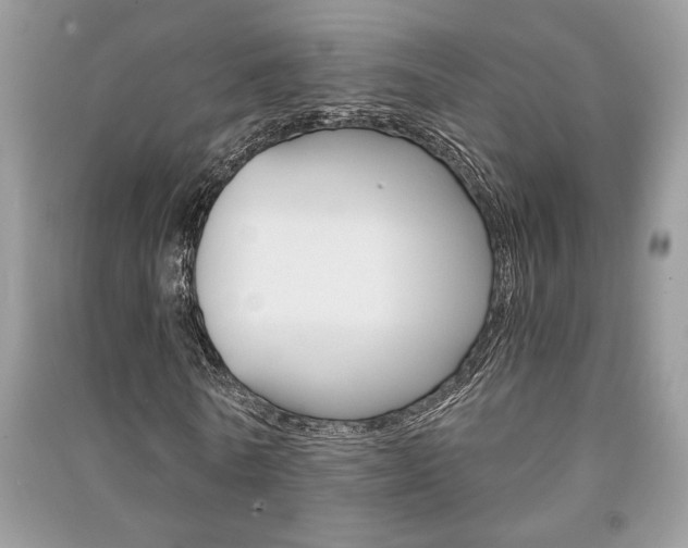 X0000091180770200708091045