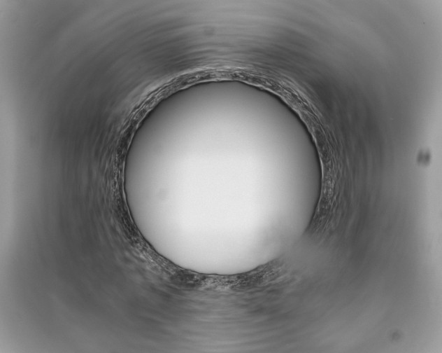 X0000091180773200708091045