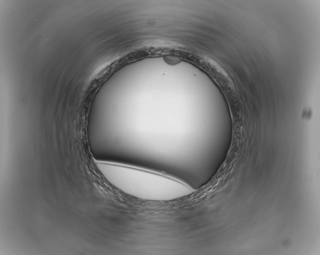 X0000091180775200708091045